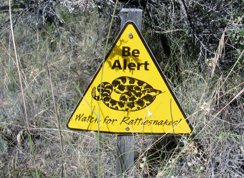 Rattlesnake warning sign near a trail