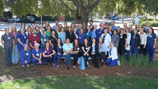 Large group of Cottage employees sitting outside of Santa Barbara Cottage Hospital